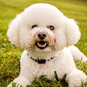 Luke | Doylestown Health