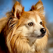 Taco | Doylestown Health