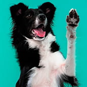 Zip | Doylestown Health