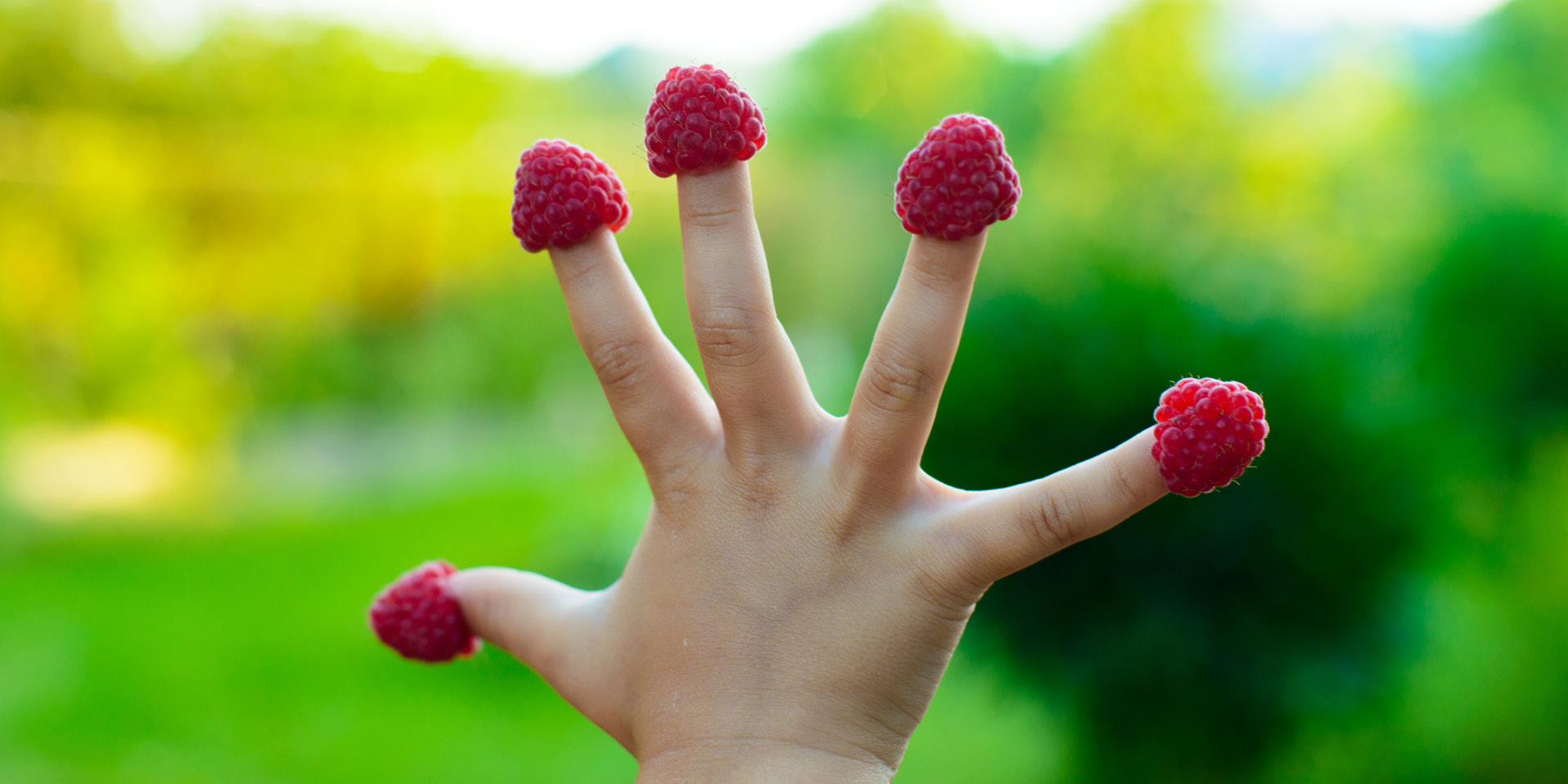 Kid's Fingers with Raspberry| Penn Medicine Doylestown Health
