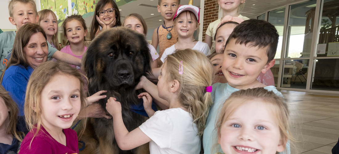 Dog surrounded by children at Children's Village | Doylestown Health