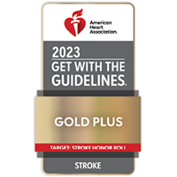 Stroke Gold Plus: Stroke Honor Roll | Doylestown Health